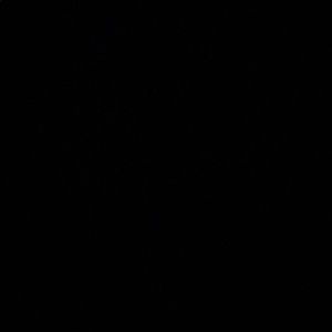 Meet your Posher, Debora